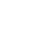 Google icon